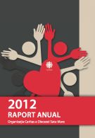 Raport Anual 2012
