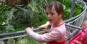 Excursie la Grădina Botanică Vasile Fati din Jibou